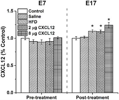 Involvement of the CXCL12 System in the Stimulatory Effects of Prenatal Exposure to High-Fat Diet on Hypothalamic Orexigenic Peptides and Behavior in Offspring